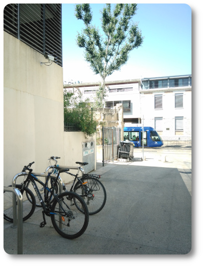 Fin Collège